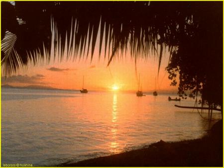 ~ Couché de soleil ~